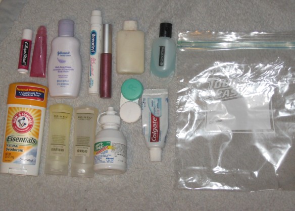 Travel Like a Pro: Packing a Quart Size Bag for Air Travel - The
